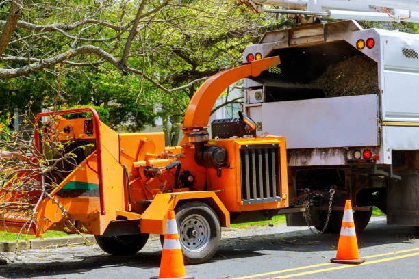 Best Tree Mulching  in Green Village, NJ